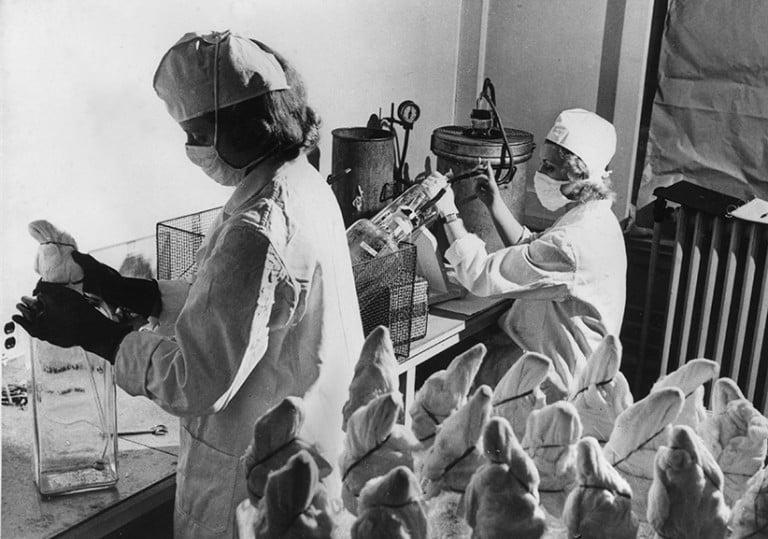 <p>Technicians at the Connaught Laboratories in Toronto harvesting the  virus to be used in the new anti-polio vaccinatinon developed by Dr Jonas Salk of the University of Pittsburgh, April 13, 1955.  (Fox Photos/Getty Images)</p>
