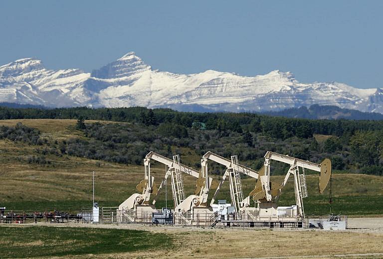 Oilfield pumpjacks, belonging to Whitecap Resources, near Calgary on Sept. 9, 2020. (Larry MacDougal/CP)