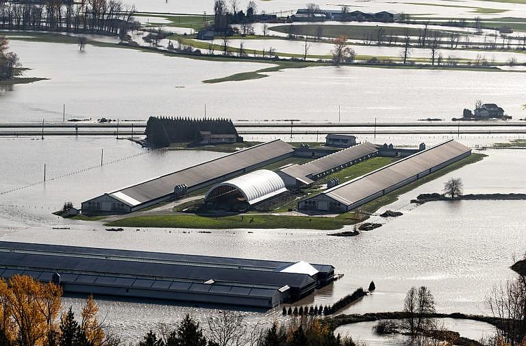 Farms surrounded by floodwaters in Abbotsford, B.C., on Wednesday (Darryl Dyck/CP)