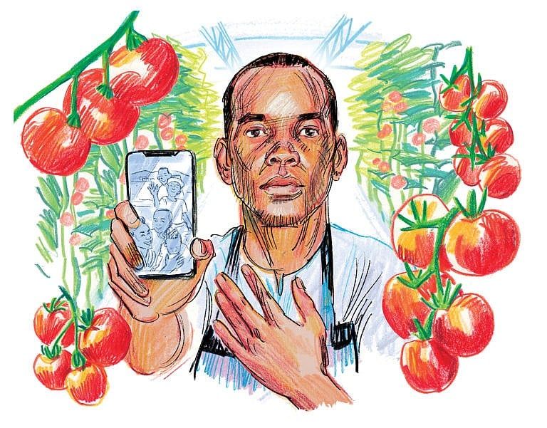 Illustration of a man with a serious expression surrounded by tomato vines, holding up a phone with an illustration of a family on it